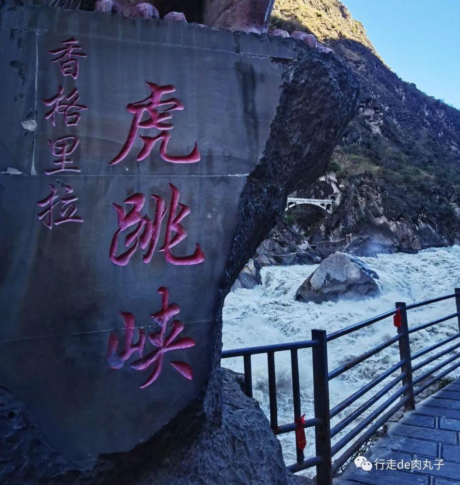【两会·新声】张顺勇代表:种养结合 立体发展 用心酿造“甜蜜产业”