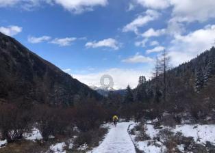 逃离梦想之家